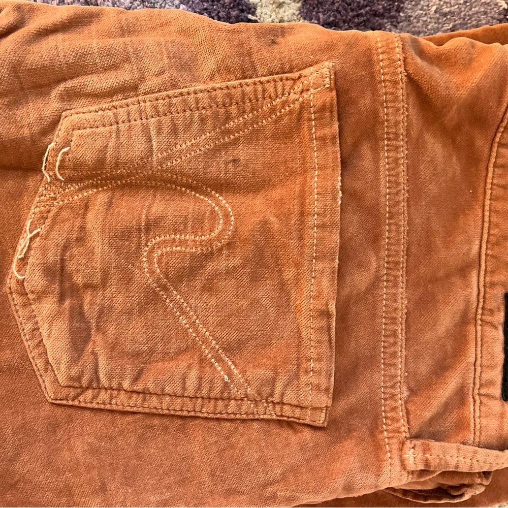 Vintage Velvet Citizens for Humanity Skinny Pants